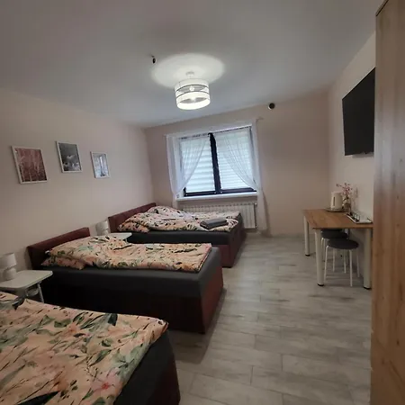 Apartment Z Aneksem Kuchennym *